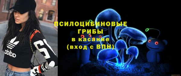 тгк Надым