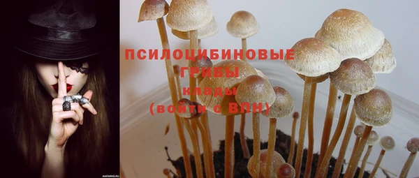 спайс Наволоки