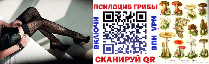 как найти Николаевск Псилоцибиновые грибы Magic Shrooms